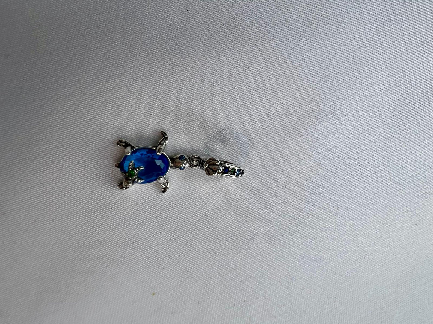 Charm tortuga