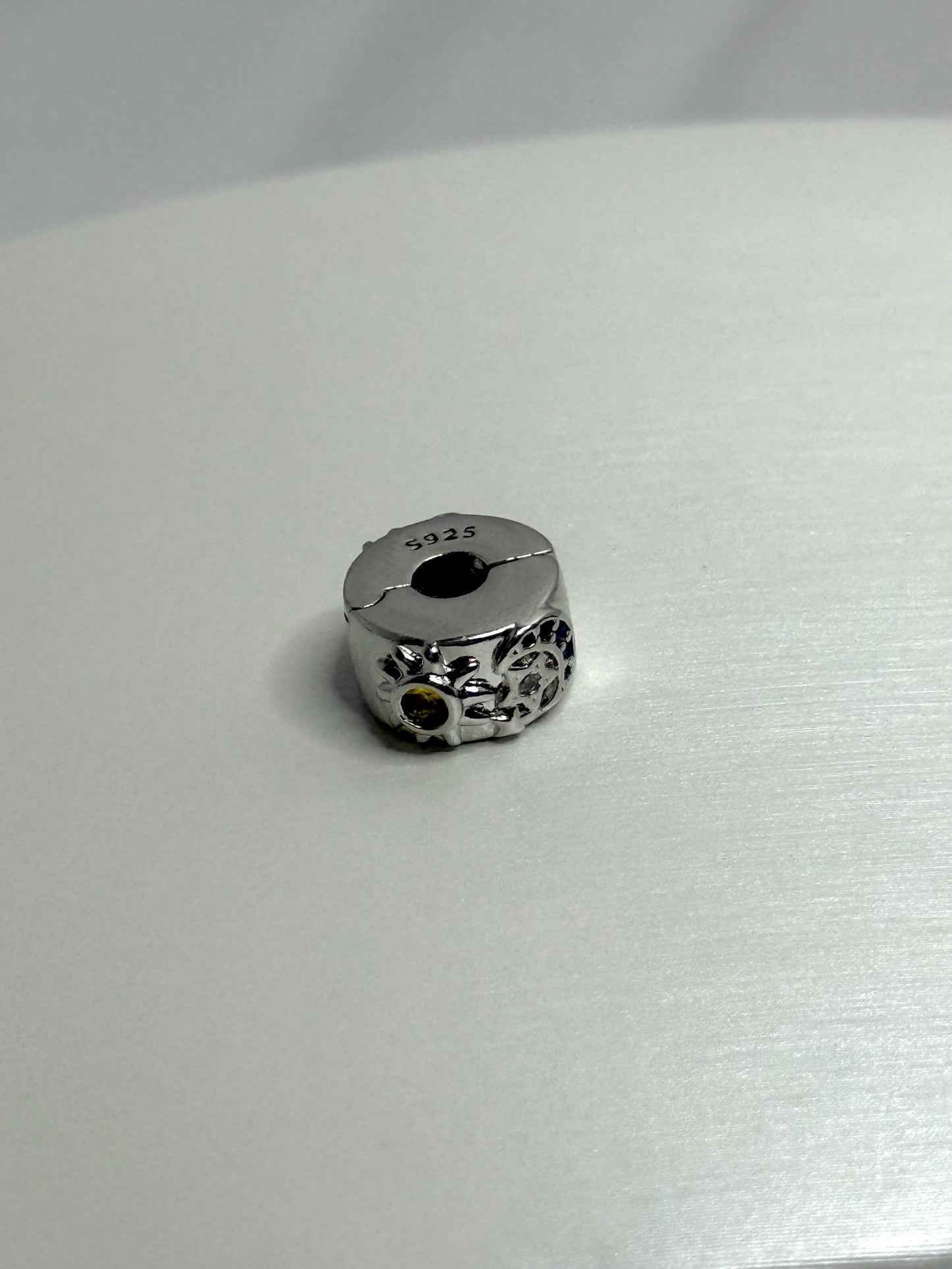Charm Clip Vida
