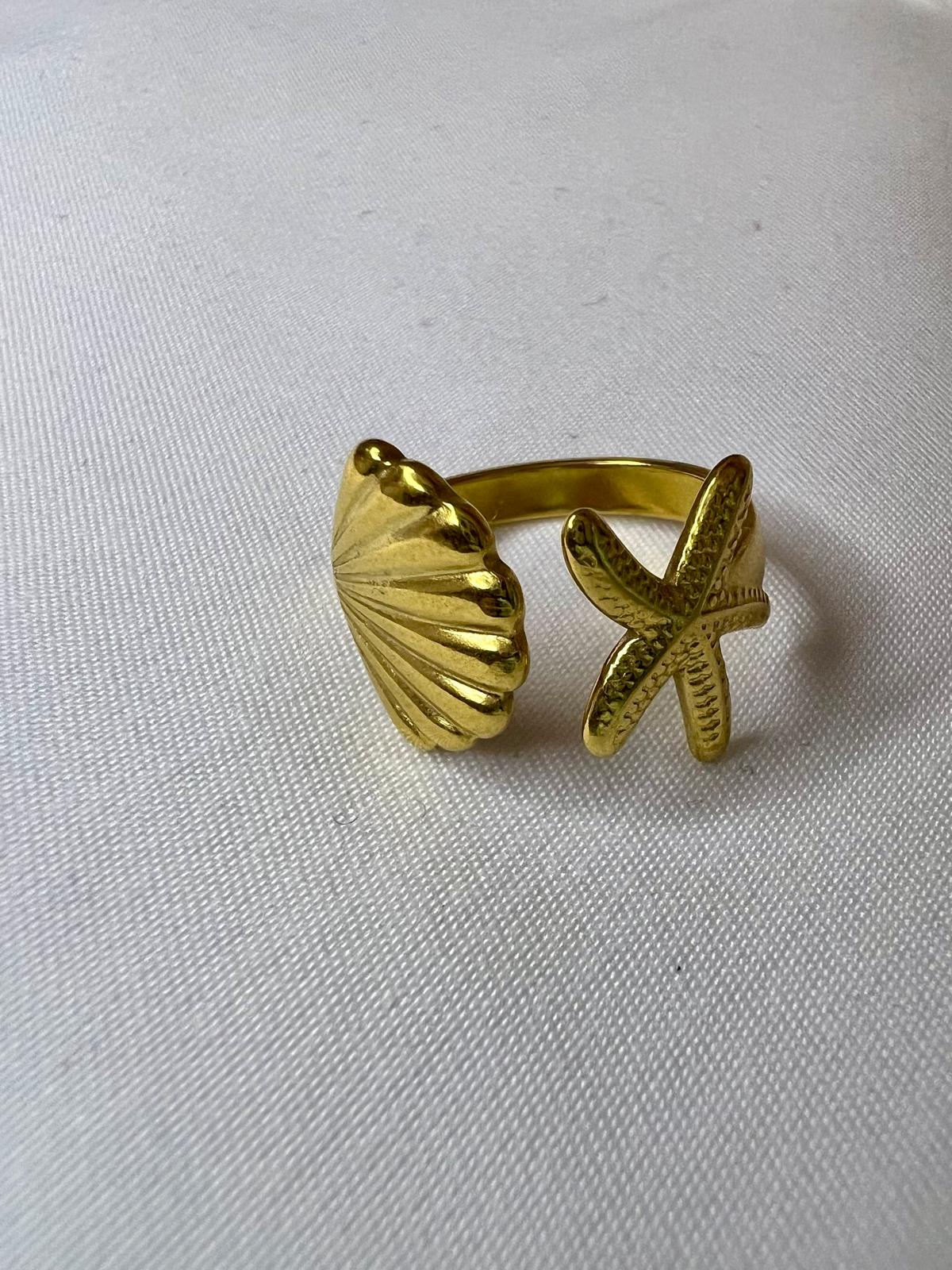Anillo Marino