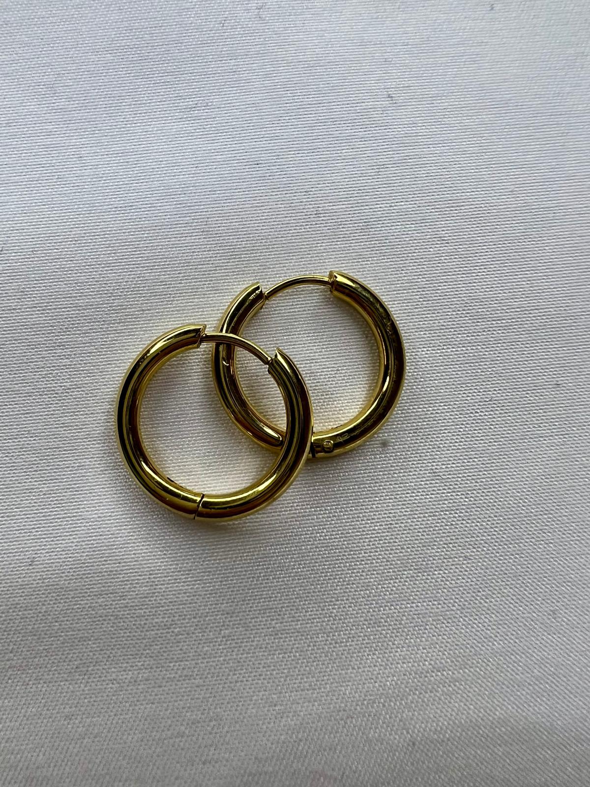 Aretes CM